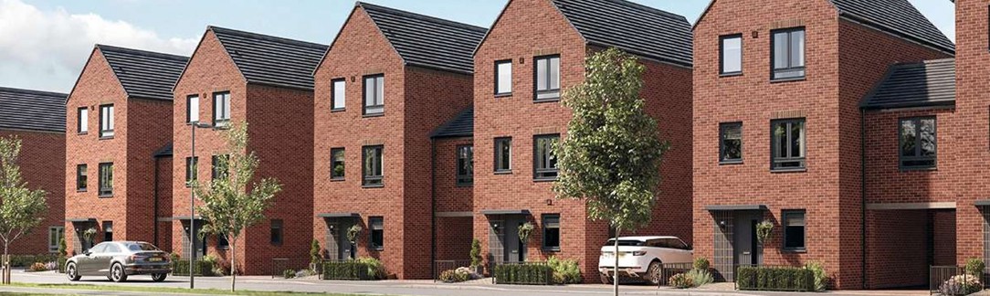 Image of Darwin green 1