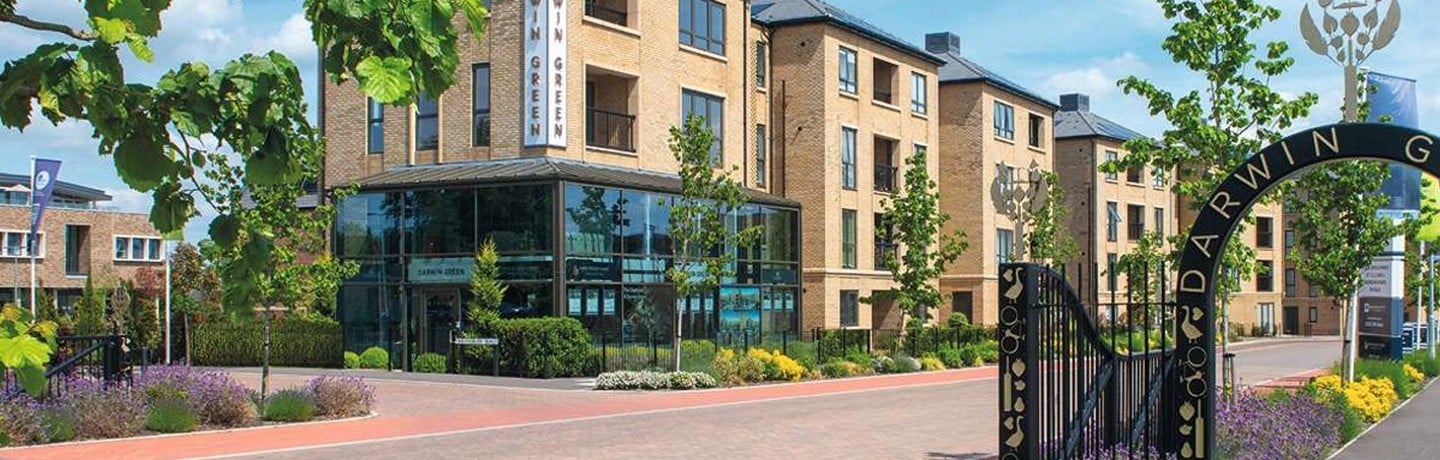 Image of darwin green