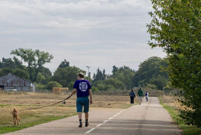 Image of walking (1)