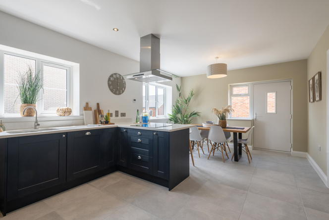 Image of _DSC2784 copy