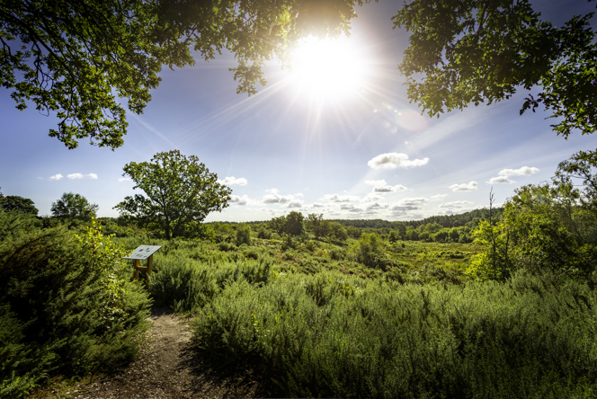 Image of HoltCountryPark3