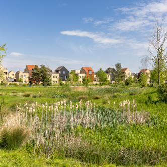 Image of 2025-05-02 Waterbeach-469 (1)