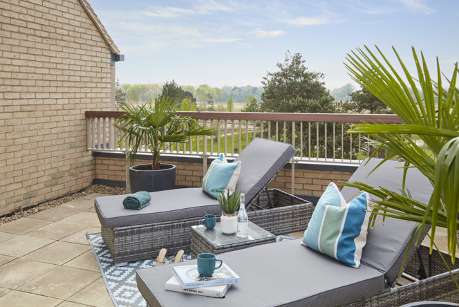 Image of 242056-126 (1)