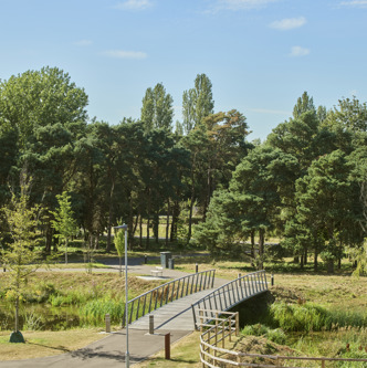 Image of 242108-037 (1)