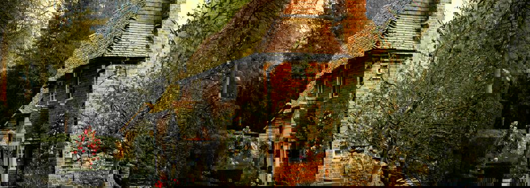 Image of pexels-simon-sikorski-441560-1131573