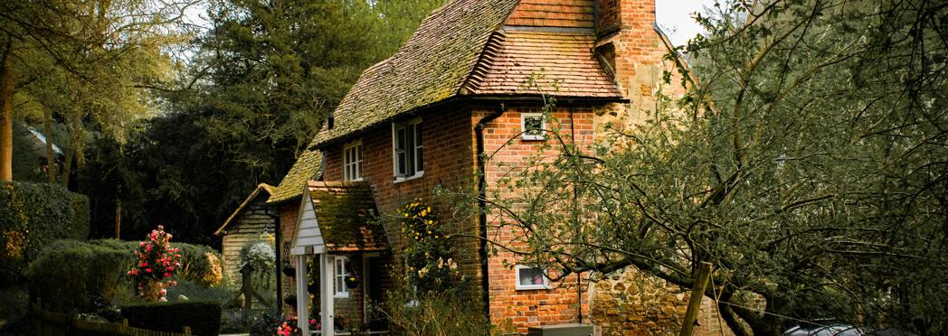 Image of pexels-simon-sikorski-441560-1131573