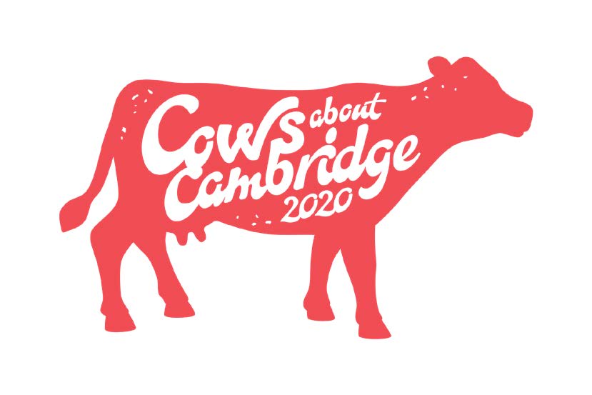 cows