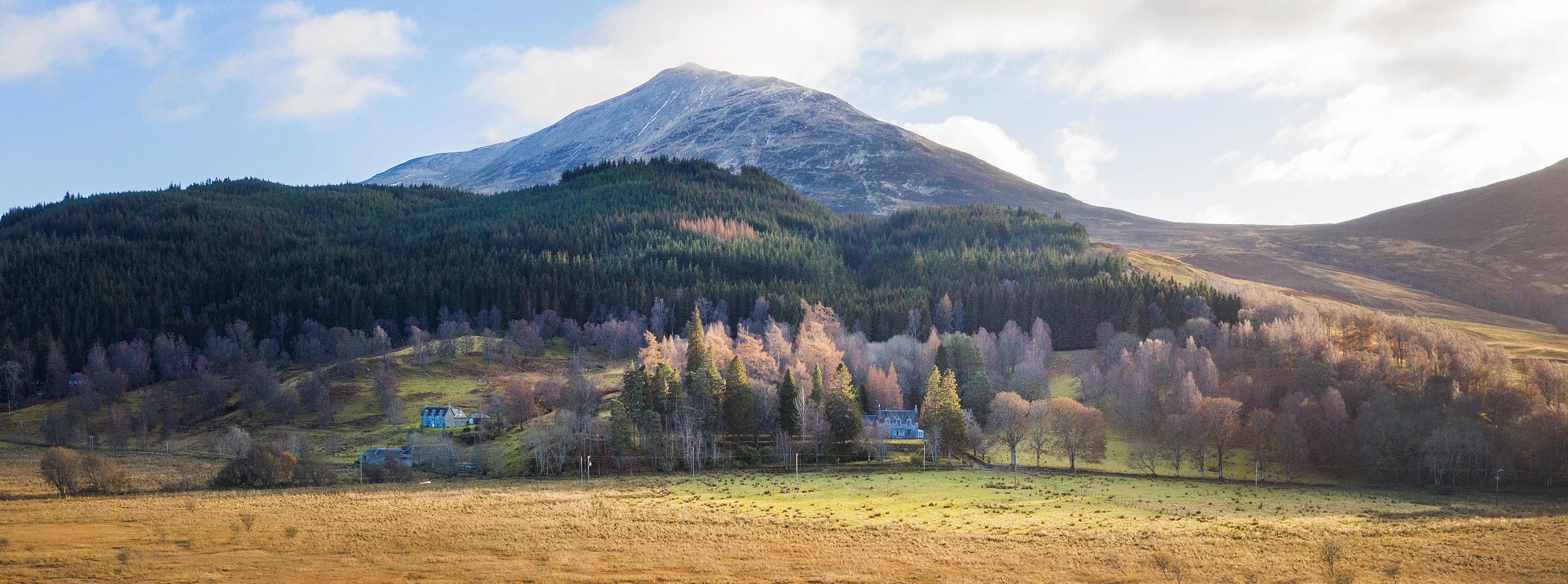 The Scottish property rollercoaster